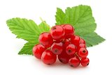 sweet red currants