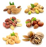 Collection of nuts