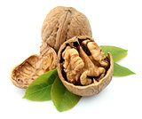 Dried walnut closeup