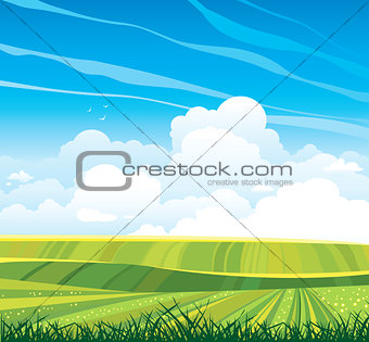 Group of clouds and green field on a blue sky.