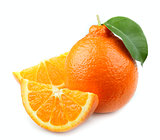  Citrus close up 