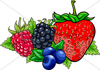 berry fruits cartoon illustration