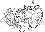 berry fruits illustration for coloring book