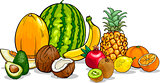 tropical fruits cartoon illustration