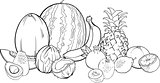 tropical fruits illustration for coloring book
