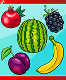 fruits set cartoon illustration