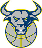 Texas Longhorn Bull Head Basketball