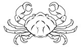 Stylised Crab illustration
