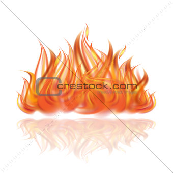 Fire on white background.