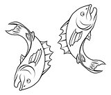 Stylised fish illustration
