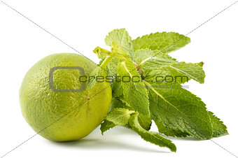 Lime with mint leaves