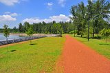 Scenic landscape of a nature walkway at Punggol
