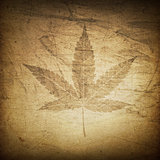 Cannabis leaf grunge background