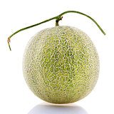 Rock Melon fruit.