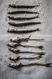 Raw anchovies on paper