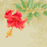 Hibiscus flower on toned background