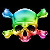 Multi-colored skull 