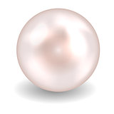 Pearl vector illustration