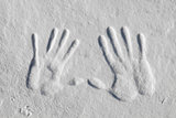 Hand Print in the Snow 