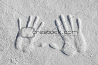 Hand Print in the Snow 