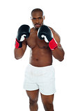 African boxer in an aggressive pose