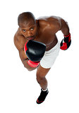 Portrait of aggressive male boxer