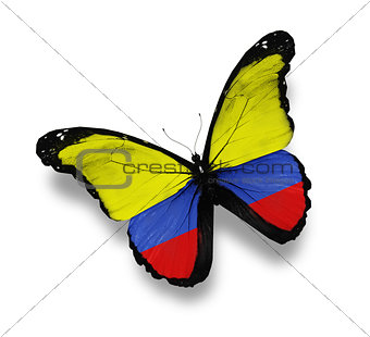 Colombian flag butterfly, isolated on white
