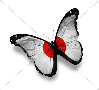 Japanese flag butterfly, isolated on white