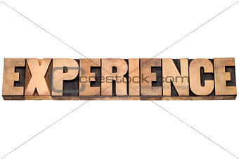 experience word in wood type