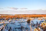 frozen swamp in Drenthe