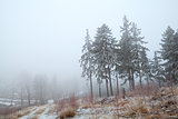 snow and fog in Harz mountains