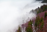 Harz mountains in fog