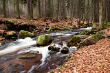 fast alpine river in the forest