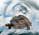 World Turtle Concept