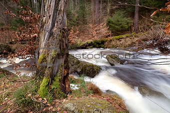 fast river in Harz mountains
