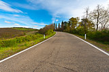 Road of Tuscany