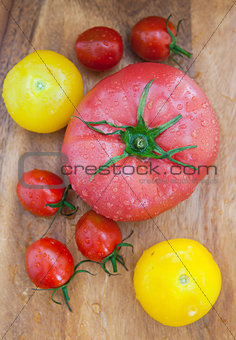 Assorted colorful  wet tomatoes on wooden board