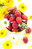 Fresh strawberries  in yellow bucket 