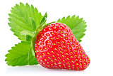 ripe juicy strawberry with green leaves