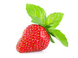 ripe juicy strawberry with green leaves of mint