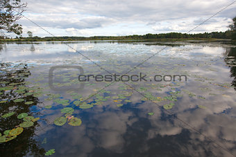 Landscape with a swamp and reflection of clouds in water