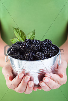 Juicy blackberries in woman hands
