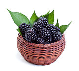 Fresh blackberries in small basket