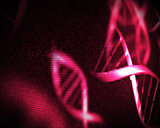 Pink DNA helix