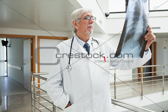 Doctor standing in the corridor looking at a x-ray