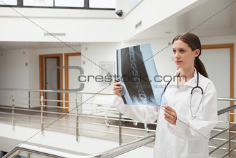 Female doctor analysing x-ray at stairwell