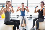 Smiling women lifting weights on an exercise ball