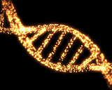 Orange DNA Helix