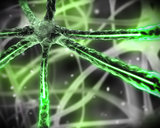 Green microscopic nervous system