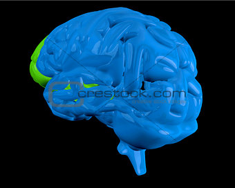 Blue brain with highlighted frontal lobe